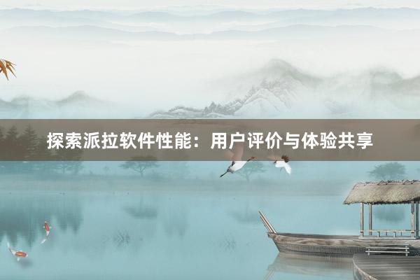 探索派拉软件性能：用户评价与体验共享