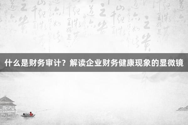 什么是财务审计？解读企业财务健康现象的显微镜